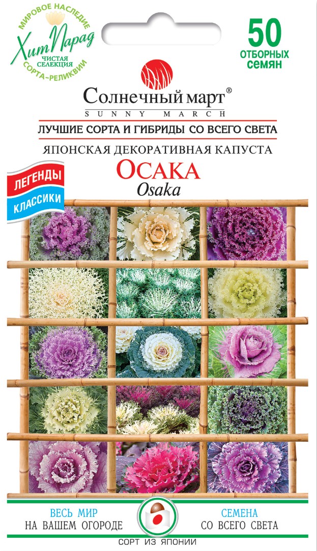 Капуста Осака